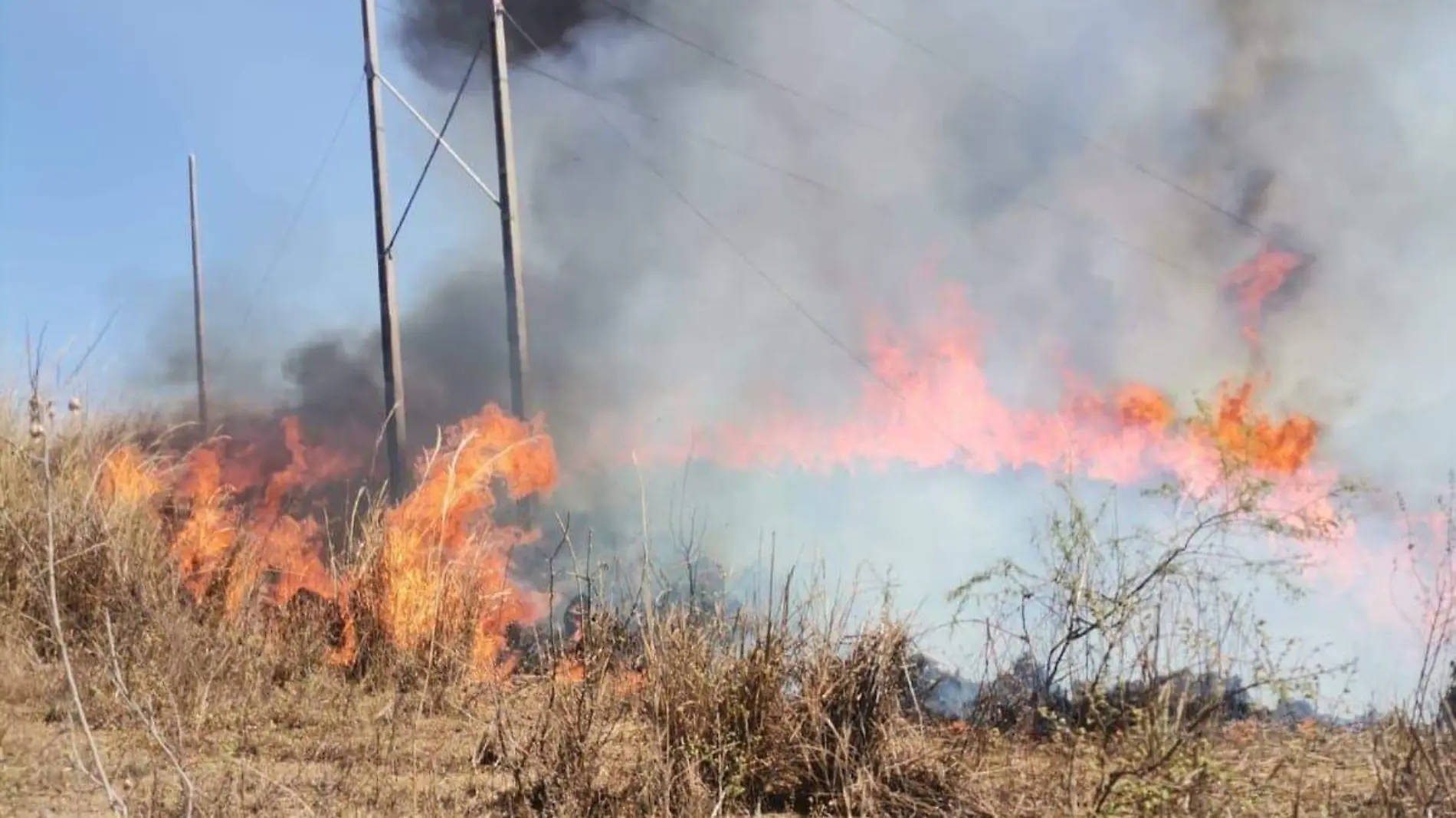 incendio forestal